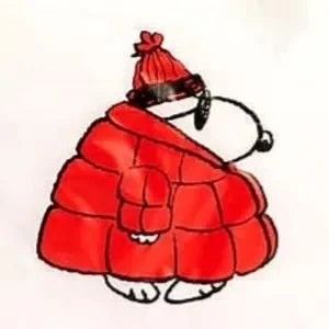 Snoopy baggu nordstrom Clearance